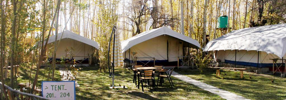 Organic Retreat Camp >
