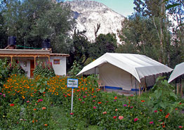 Organic Retreat Camp