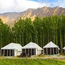 Camping in Ladakh